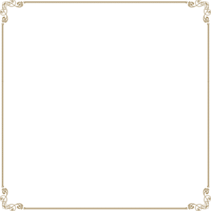 form-border-image